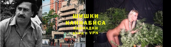 PSILOCYBIN Абдулино