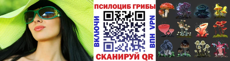 Псилоцибиновые грибы прущие грибы  мега вход  Елизово  даркнет сайт 