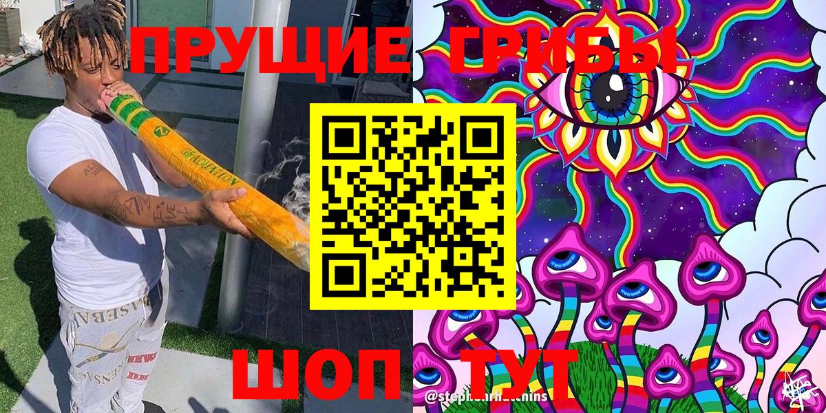 Псилоцибиновые грибы Psilocybe  Вход с VPN  Елизово 
